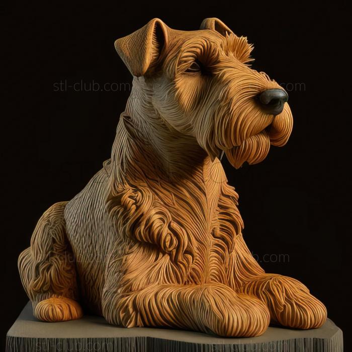 st Welsh Terrier dog